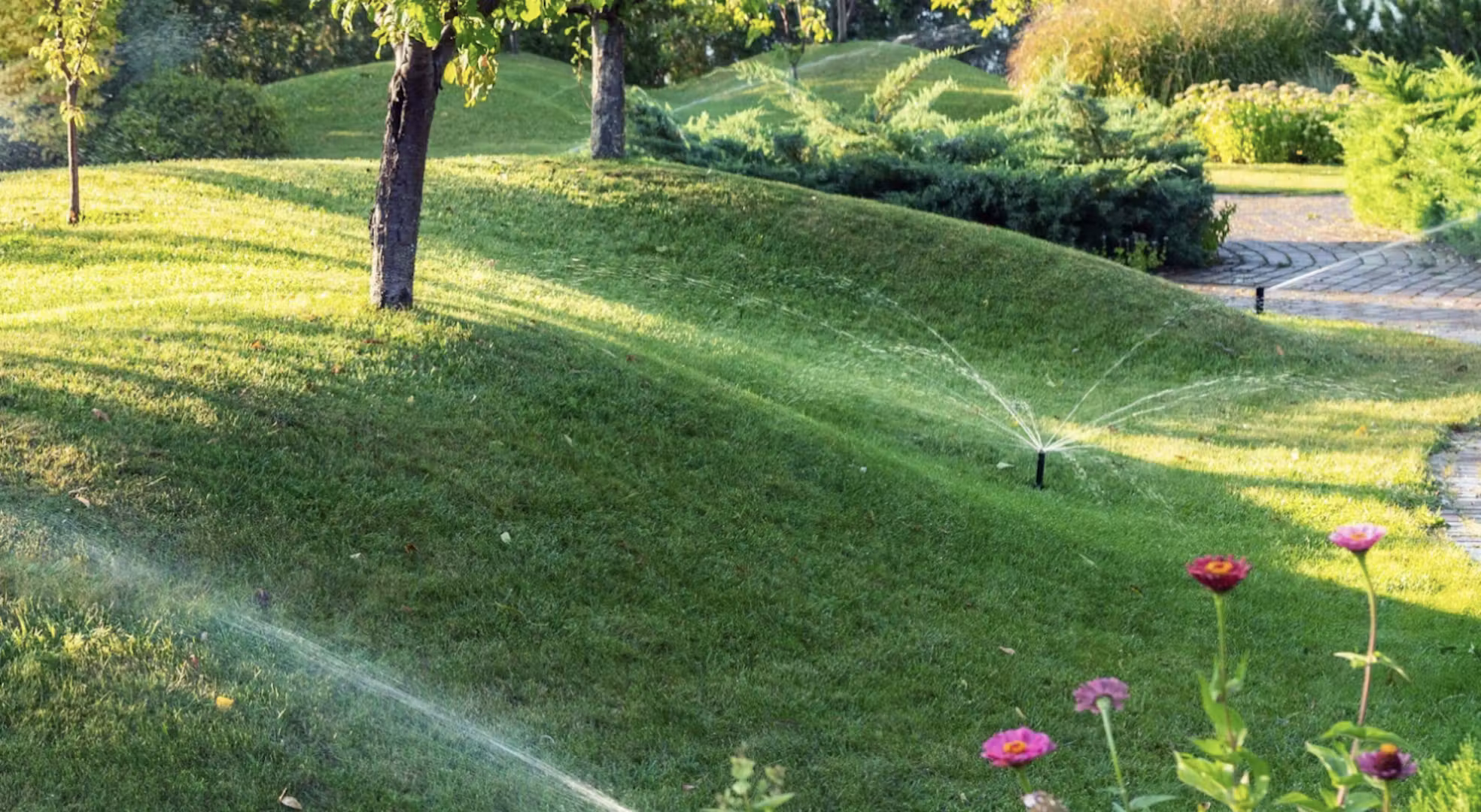 Smart Irrigation Repair: Upgrading an Old System to Save Water and Improve Performance